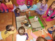 Den dětí se zvířátky